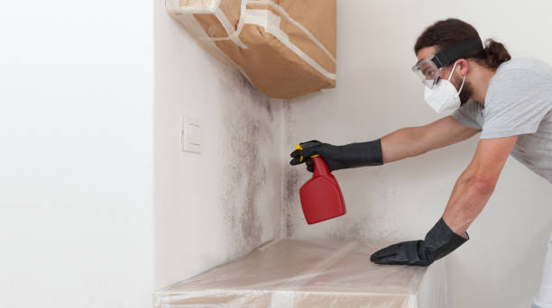Professional Mold Remediation technician working in Wayne, MI